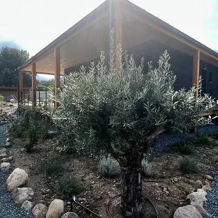 Villas Vallee D'Asco Moltifao Exterior photo