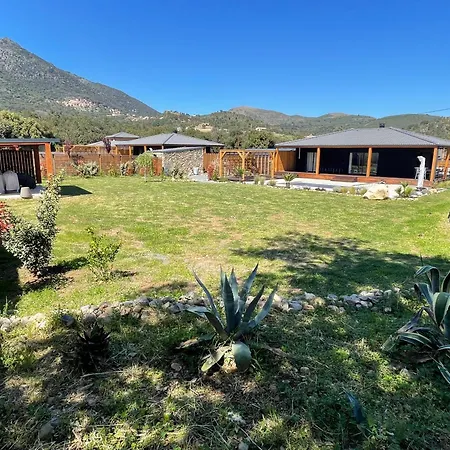 Villas Vallee D'Asco Moltifao Exterior photo