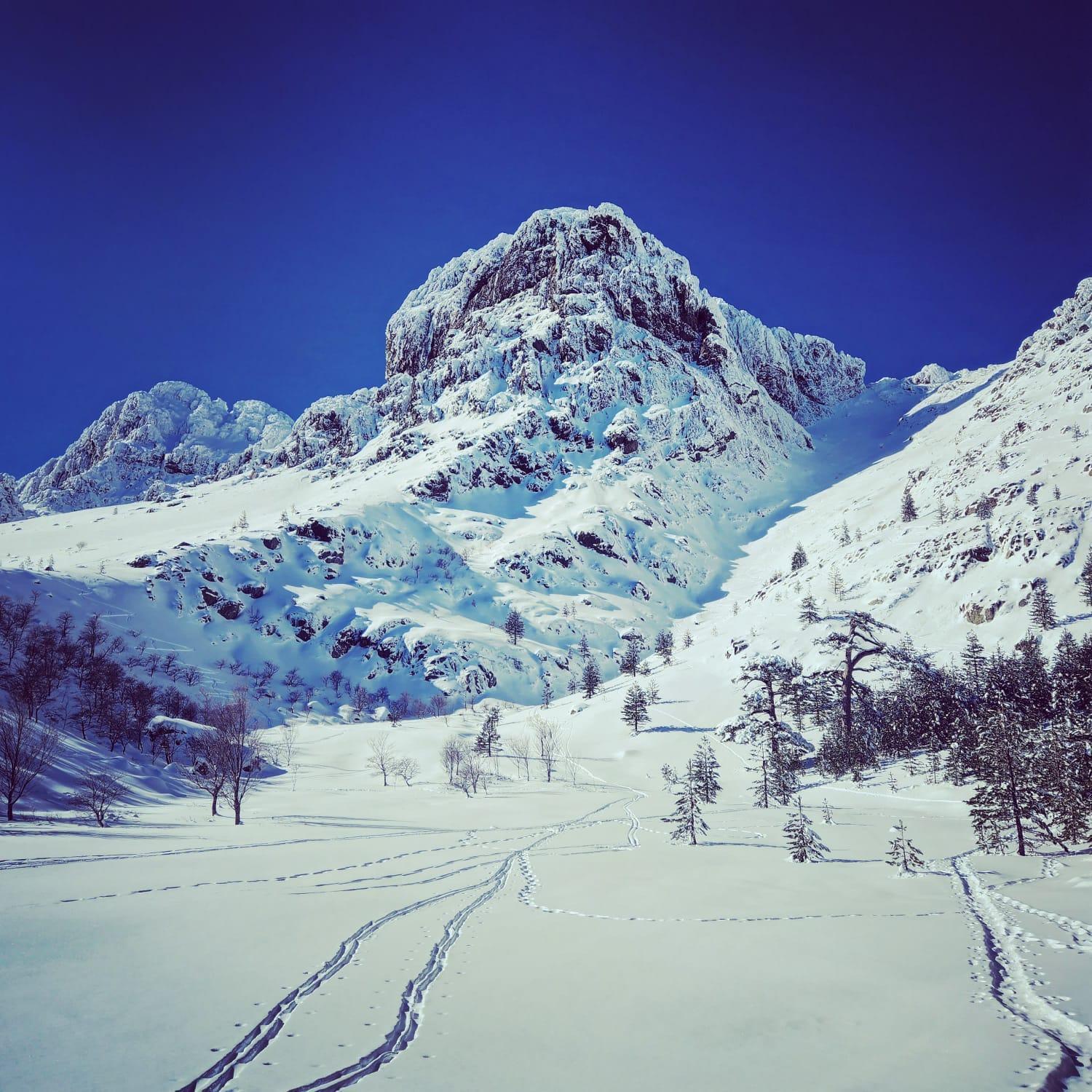 Vallee D'asco Moltifao