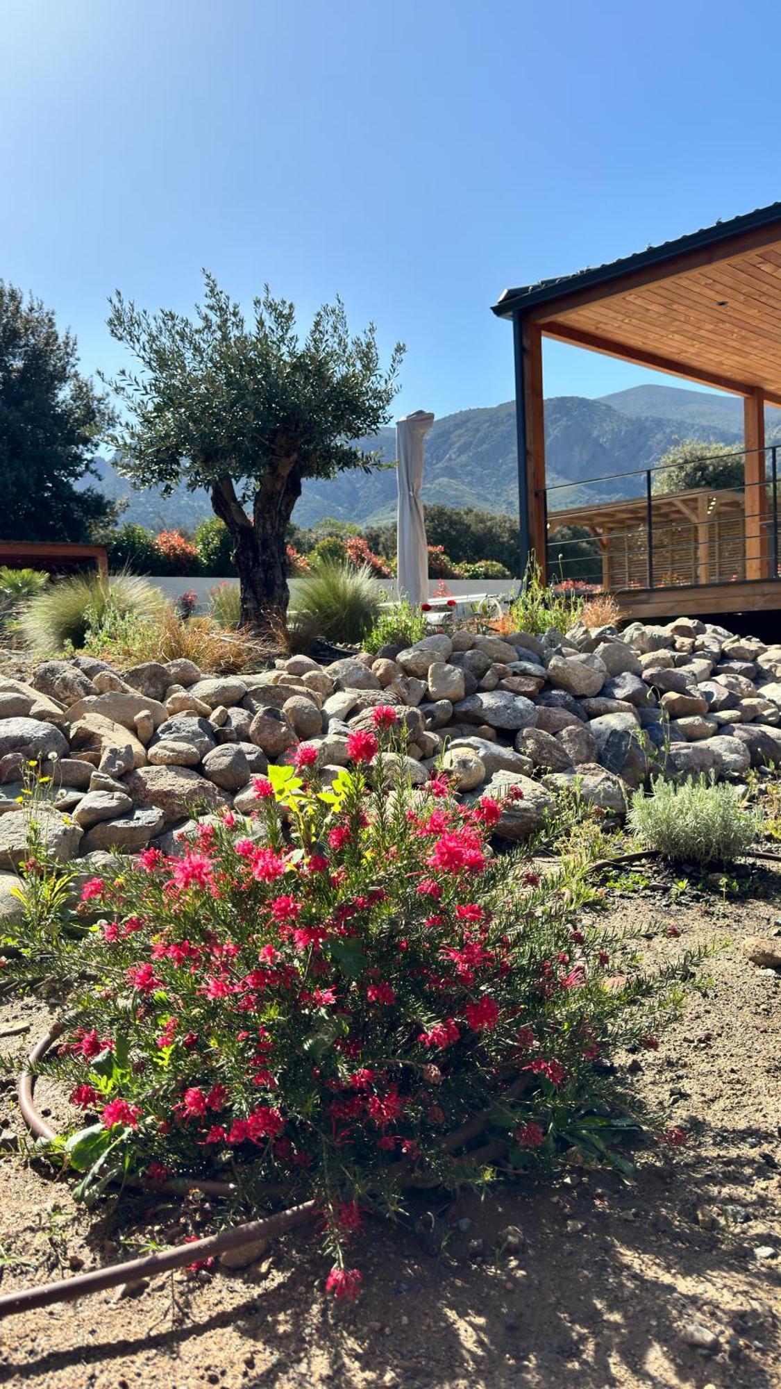Vallee D'asco Villa Moltifao